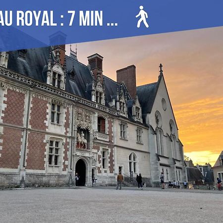 Charme & Calme A 200M Du Chateau Blois Bagian luar foto